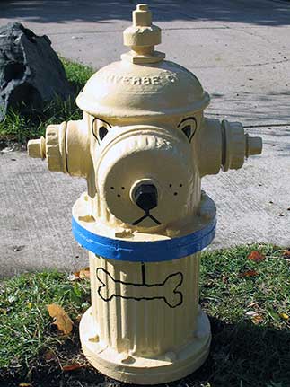 Dog Manilla Lab - 1222 Orchard Hill